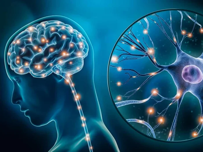 sindrome de deficiencia endocanabinoide